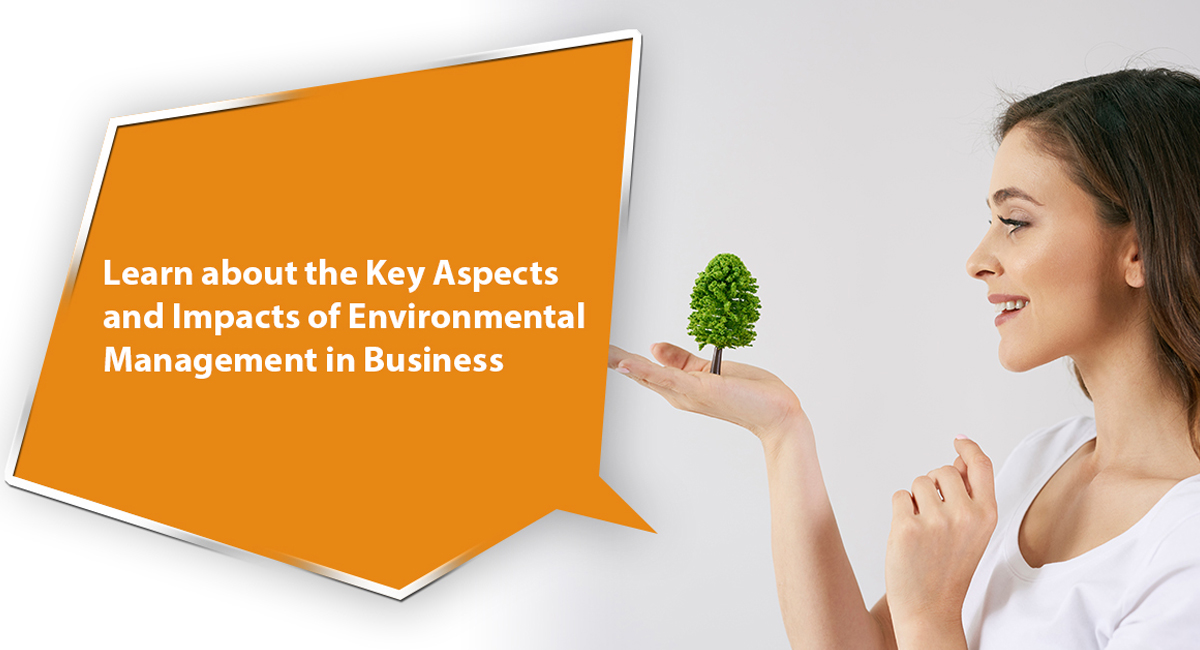 Learn about the Key Aspects and Impacts of Environmental Management in Business