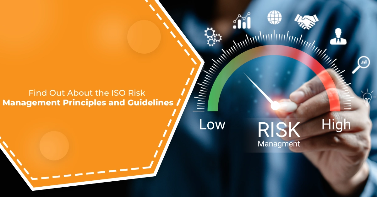 Find Out About the ISO Risk Management Principles and Guidelines
