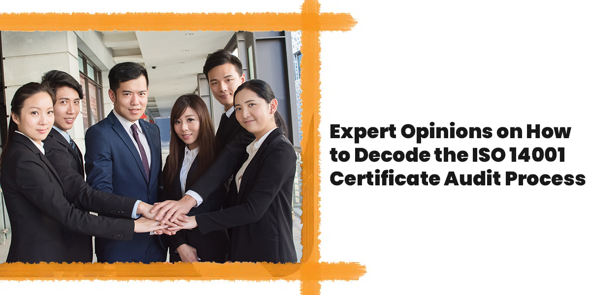 Expert Opinions on How to Decode the ISO 14001 Certificate Audit Process